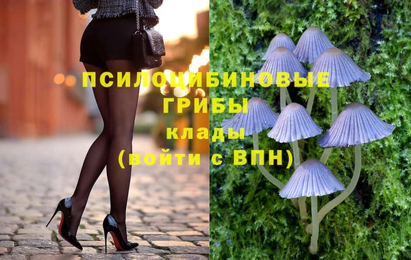 СК Богородск