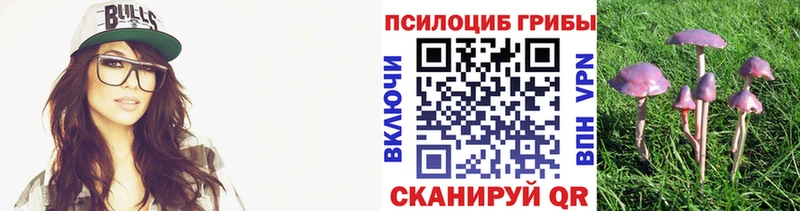 kraken как зайти  цены наркотик  Моршанск  Псилоцибиновые грибы MAGIC MUSHROOMS 